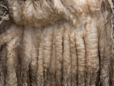 logwools wool