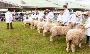 Great Yorkshire Show 2022